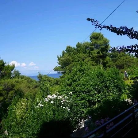 Appart hôtel Apartman Bugenvila