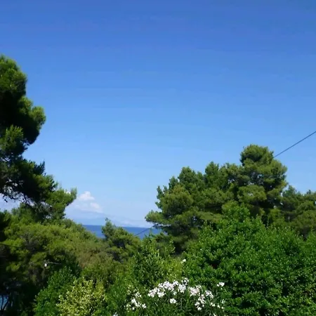 Appart hôtel Apartman Bugenvila Jelsa (Hvar)