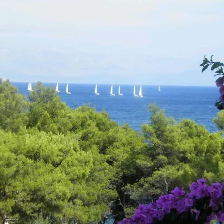 Apartman Bugenvila